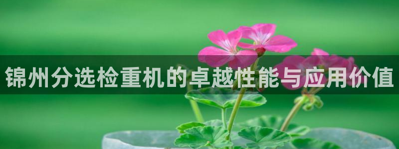 威九国际可以退钱吗怎么退的