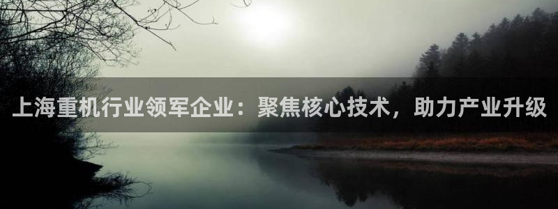 威九国际空降服务怎么样