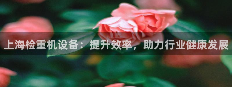 威九国际网站进入产品中心