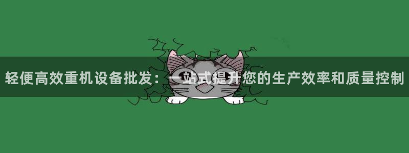 威九国际ppt免费
