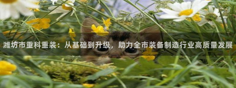 威九国际官方入口