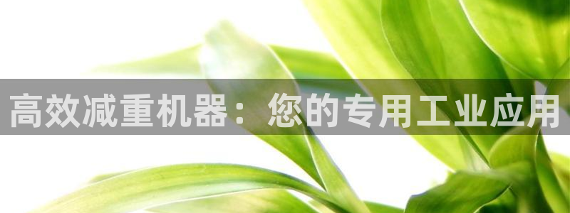 威九国际和之前