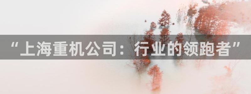 威九国际新