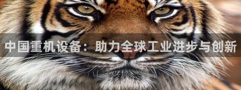 威九国际电影HD