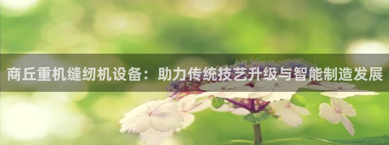 威九国际78免下载