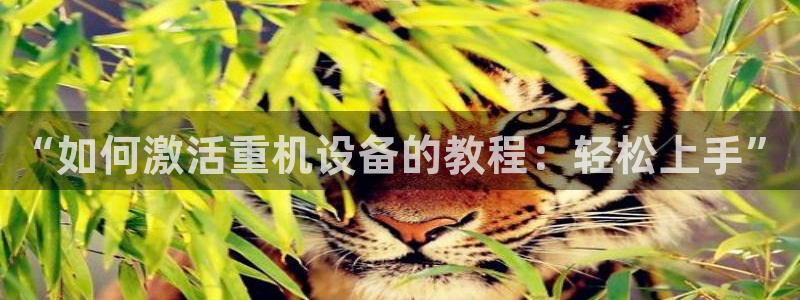 保定威九网络科技有限公司怎么样