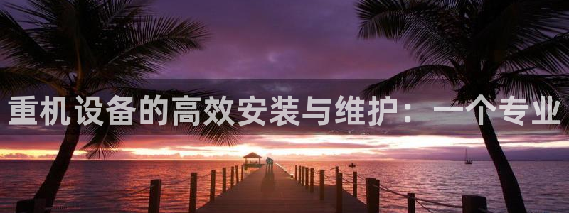 威九国际软件公司简介