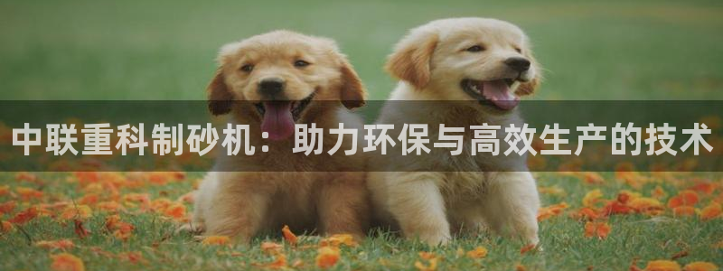 威九国际网站游戏