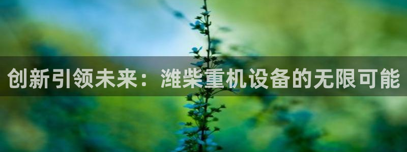 威九国际网站经常打不开怎么办