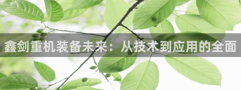 威九国际v8：鑫剑重机装备未来：从技术到应用的全面
