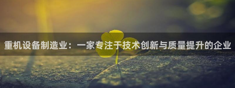 威九国际能提现吗安全吗：重机设备制造业：一家专注于技术创新与