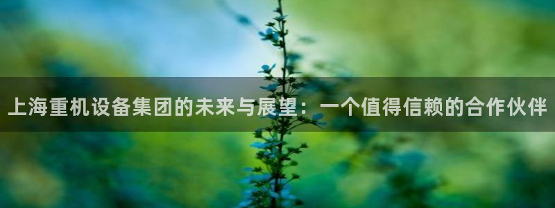 威九国际空降视频：上海重机设备集团的未来与展望：一个值得信赖