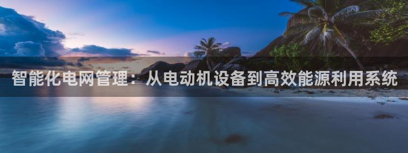 保定威九网络科技有限公司是干嘛的：智能化电网管理：从电动机设