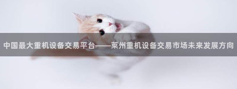威九国际全国空降：中国最大重机设备交易平台——莱州重机设备交