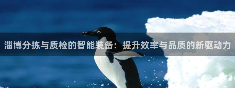 威九国际的金融服务