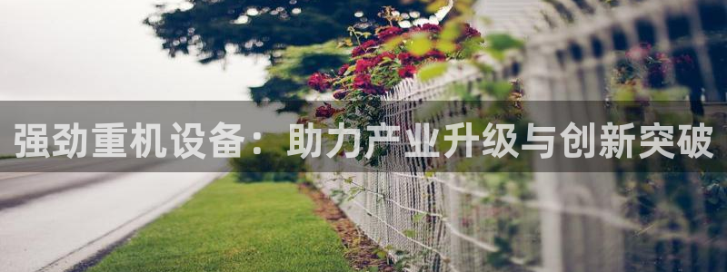威九国际66