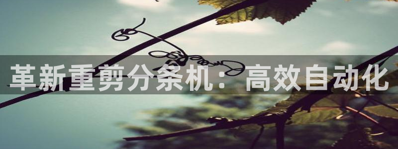 威九国际软件：革新重剪分条机：高效自动化