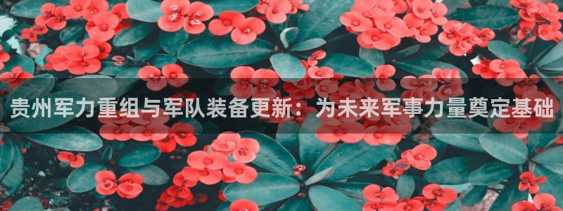 威九国际66m66成长模式免费