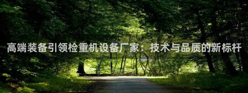 威九国际小说：高端装备引领检重机设备厂家：技术与品质的新标杆