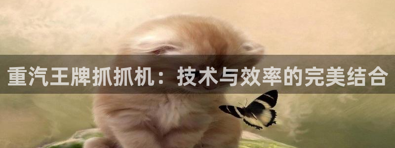 威九国际下载官网app：重汽王牌抓抓机：技术与效率的完美结合
