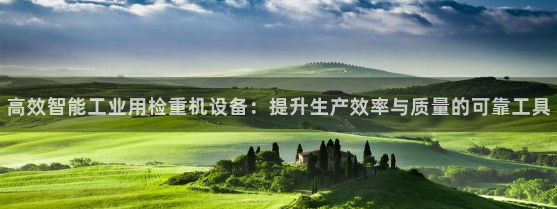 威九国际66mm66：高效智能工业用检重机设备：提升生产效率