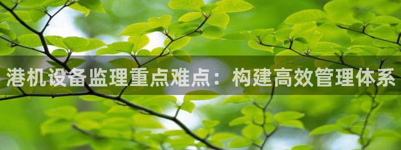 威九国际app入口在哪：港机设备监理重点难点：构建高效管理体
