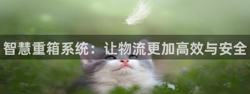 威九国际网站进入产品分类：智慧重箱系统：让物流更加高效与安全