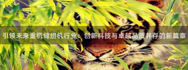 威九国际精：引领未来重机缝纫机行业：创新科技与卓越品质并存的