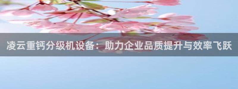 威九国际78m域名：凌云重钙分级机设备：助力企业品质提升与效