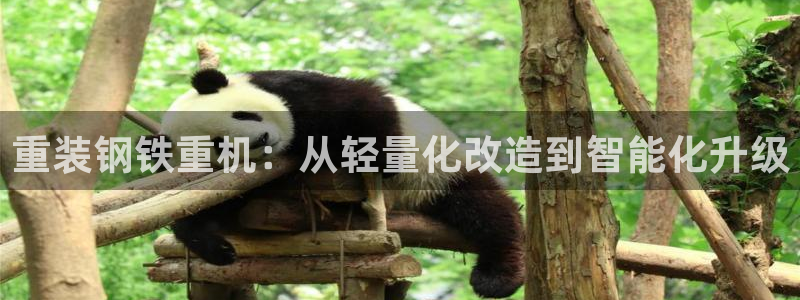 威九国际黄威尼斯：重装钢铁重机：从轻量化改造到智能化升级