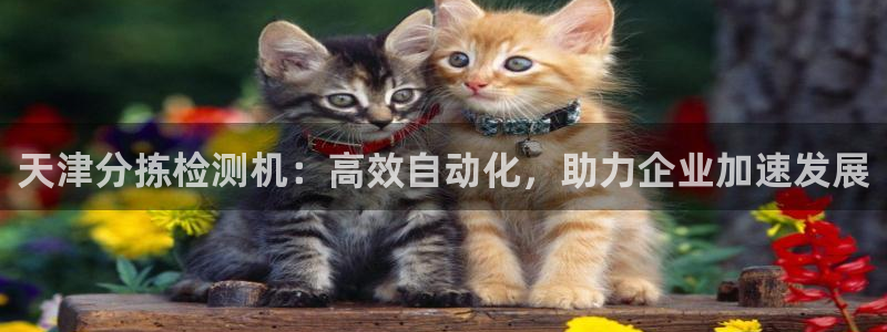 威九国际小说：天津分拣检测机：高效自动化，助力企业加速发展