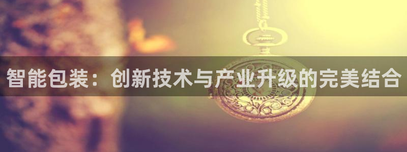 威九国际X8