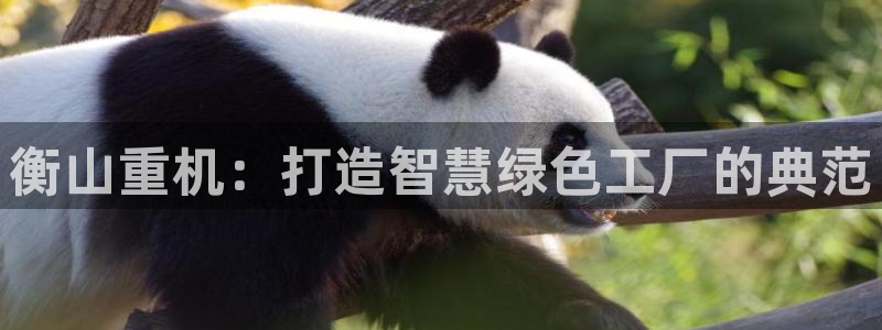威九国际游戏app(网站)：衡山重机：打造智慧绿色工厂的典范