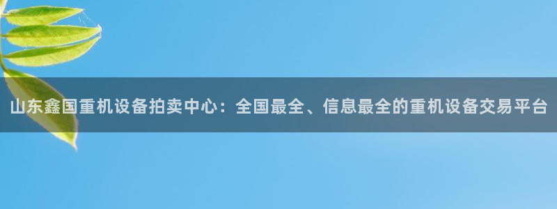 78mapp威九国际网：山东鑫国重机设备拍卖中心：全国最全、