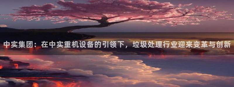 保定威九网络科技有限公司招聘：中实集团：在中实重机设备的引领