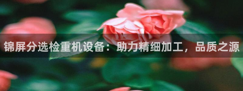 威九国际78mb42：锦屏分选检重机设备：助力精细加工，品质