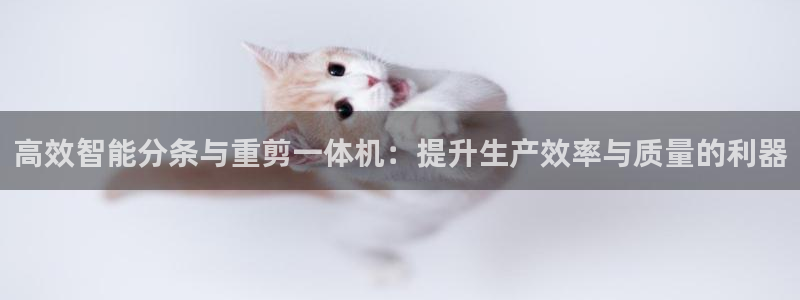 威九国际网站官网