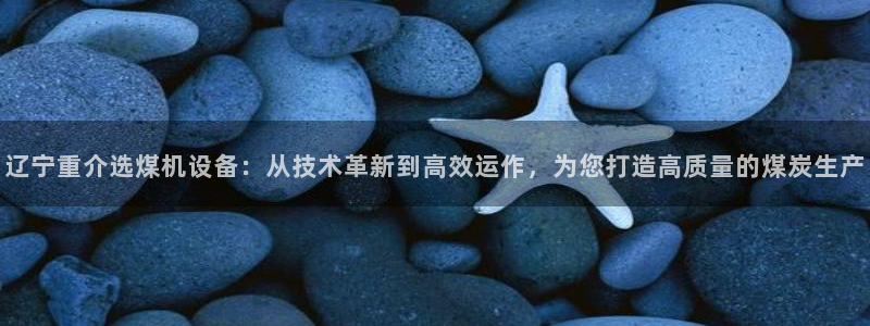 威九国际合作伙伴有哪些：辽宁重介选煤机设备：从技术革新到高效