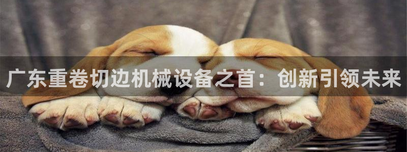 威九国际78mob：广东重卷切边机械设备之首：创新引领未来