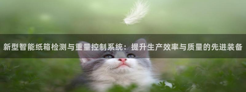 威九国际留学：新型智能纸箱检测与重量控制系统：提升生产效率与