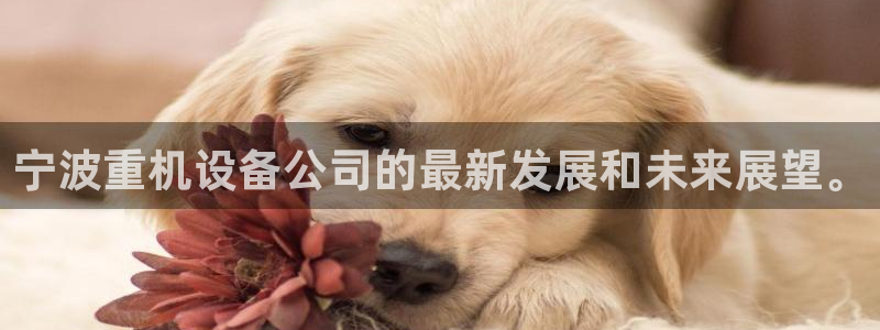 威九国际精免费下载：宁波重机设备公司的最新发展和未来展望。