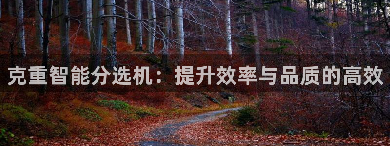 威九国际官网版：克重智能分选机：提升效率与品质的高效