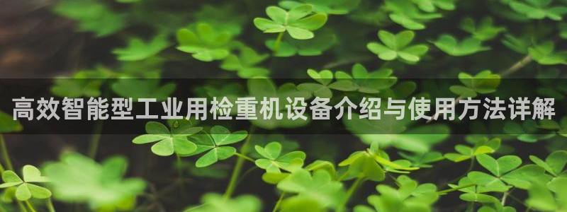 威九国际网站入口地址在哪里：高效智能型工业用检重机设备介绍与