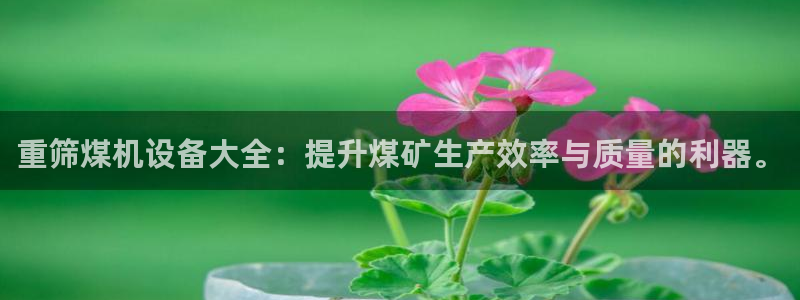 威九国际app网站安全吗：重筛煤机设备大全：提升煤矿生产效率