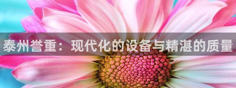 威九国际风情万种：泰州誉重：现代化的设备与精湛的质量