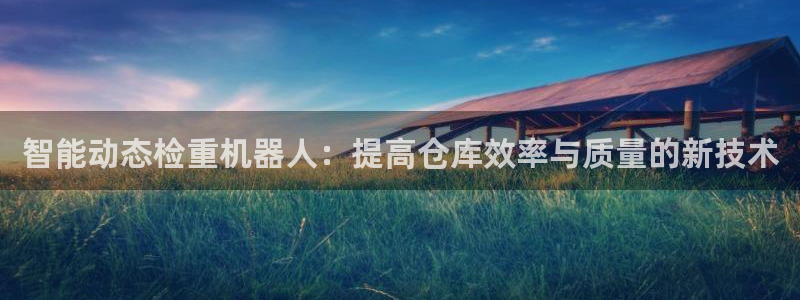 威九国际体育app下载：智能动态检重机器人：提高仓库效率与质