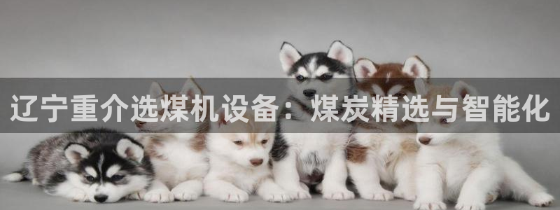 威九国际78mb官网