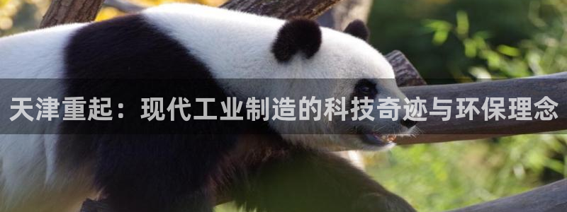 威九国际网站怎么样知乎