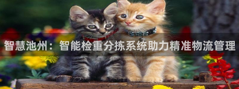 威九国际取款不会被骗吧是真的吗：智慧池州：智能检重分拣系统助