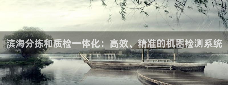 威九国际体育：滨海分拣和质检一体化：高效、精准的机器检测系统